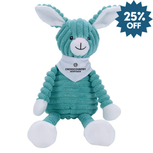 Load image into Gallery viewer, CCM Bunny Plush
