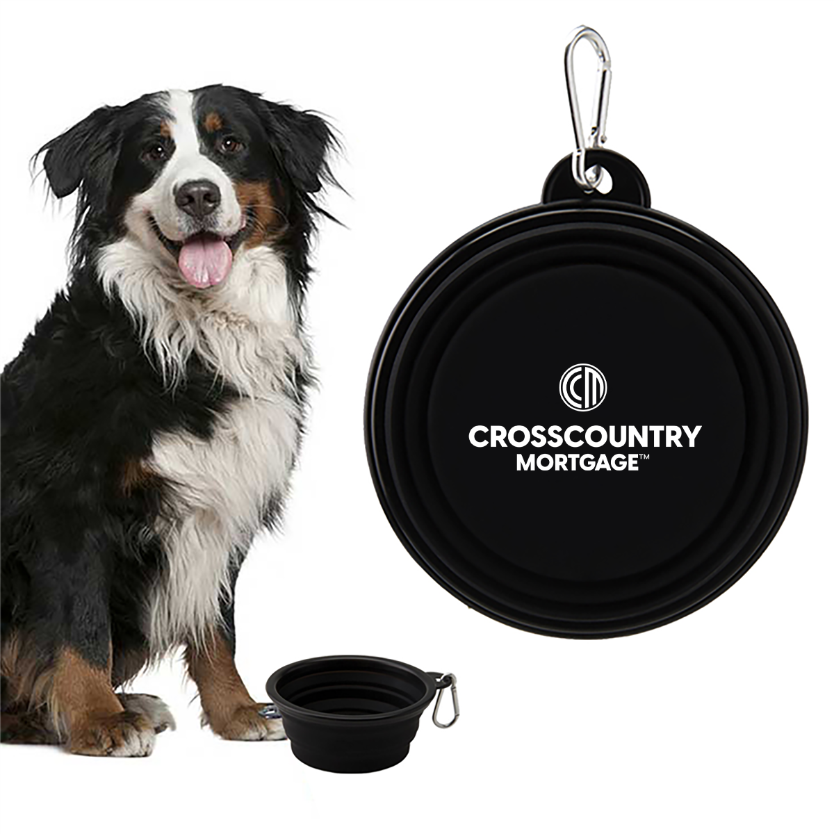 CCM Collapsible Pet Bowl